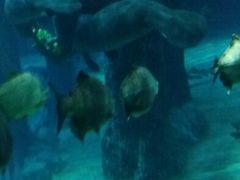 android_upload_pic-河川生态园