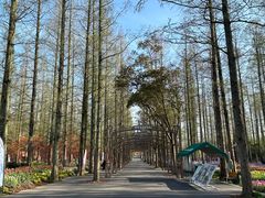 -东平国家森林公园