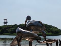 -暨阳湖生态园