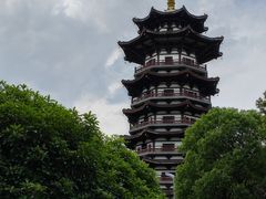 -洋湖国家湿地公园