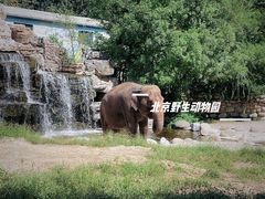 -北京野生动物园