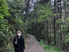 -青龙山国家森林公园