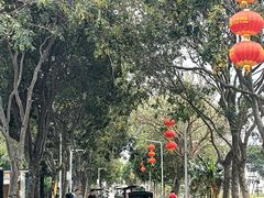 -光明小镇欢乐田园