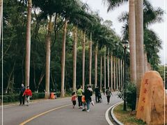 -东莞市虎英郊野公园