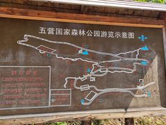 -五营红松林海景区