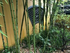 -西湖外事游船(花港观鱼码头)