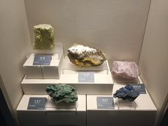 -安徽省地质博物馆