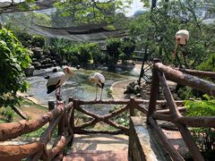 -吉隆坡雀鸟公园