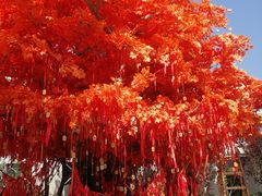 -济南方特东方神画