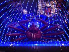 -蟹之国·精品蟹料理(极地店)