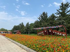 -北陵公园