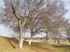 -盘龙城国家考古遗址公园