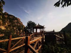 -大岭沟猕猴桃谷风景区
