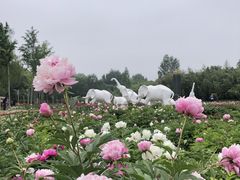 -廊坊市自然公园