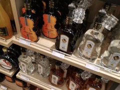 -维也纳国际机场