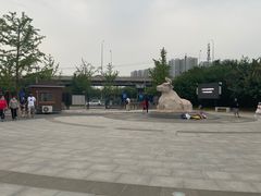 -永定河休闲森林公园