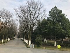 -白塘生态植物园