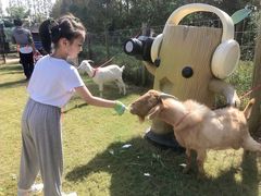 -前小桔亲子创意农场·草莓采摘·露营烧烤