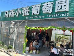 -马陆小张葡萄园农家乐