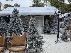 -HERRE·FARM 赫尔露营农场·团建聚会包场