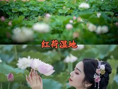 -朝花夕拾中餐厅(台儿庄古城复兴广场店)
