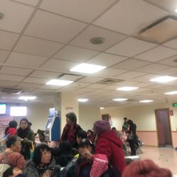 -上海交通大学医学院附属上海儿童医学中心(陆家嘴总院区)