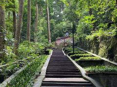 -都江堰普照寺