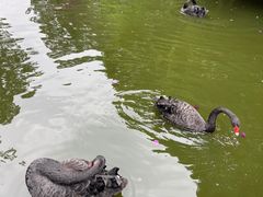 -昆明动物园