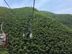 -鑫福楼农家菜