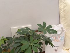 -长风拨筋养身(金虹桥店)