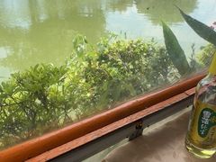-晓琦农家菜馆·地道农家菜