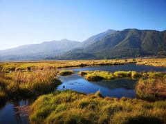 -腾冲北海湿地