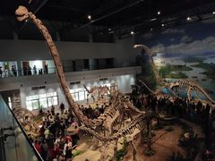 -自贡恐龙博物馆