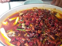 -雲蜀龙阁·金牌水煮鱼(方庄店)