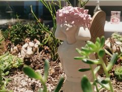 -春树下·树屋花房西餐厅(罍街AS1980店)