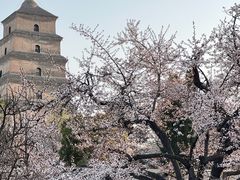 -大慈恩寺(大雁塔)
