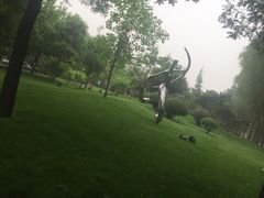 -唐城墙遗址公园