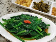 白灼菠菜-温粥人(春晖路店)