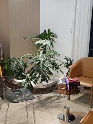 -爱漾皮肤管理中心