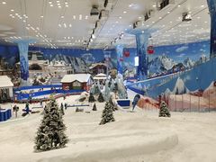 -湘江欢乐城欢乐雪域