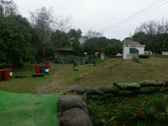 -滨江森林公园-真人CS野战场