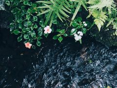 -Chom Cafe and Restaurant