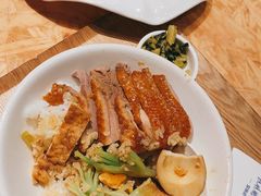 金奖卤鹅肉饭-陈鹏鹏潮汕菜(宝安机场T3航站楼店)