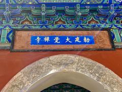 -大觉寺-停车场