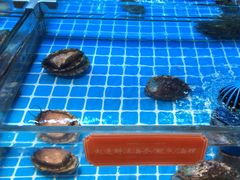 -ONE FULL 古董港式海鲜火锅