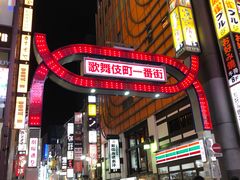 -东京塔海贼王主题公园