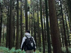 -罗田薄刀峰风景区