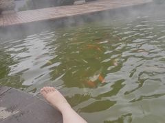 -七彩云南古滇温泉山庄