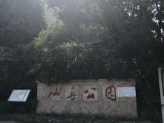 -仙岳公园