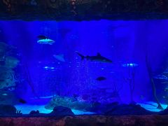 -沈阳海洋探索中心